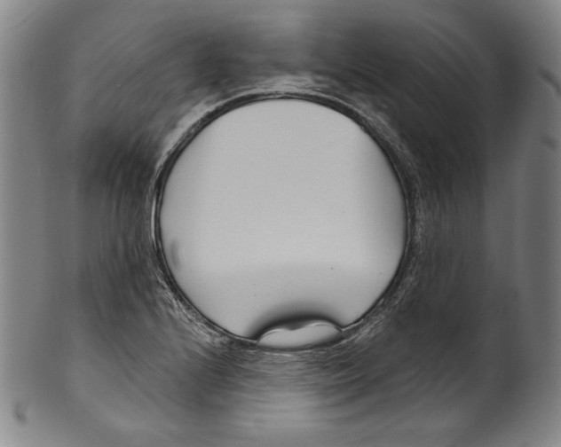 X0000099441224200806061036