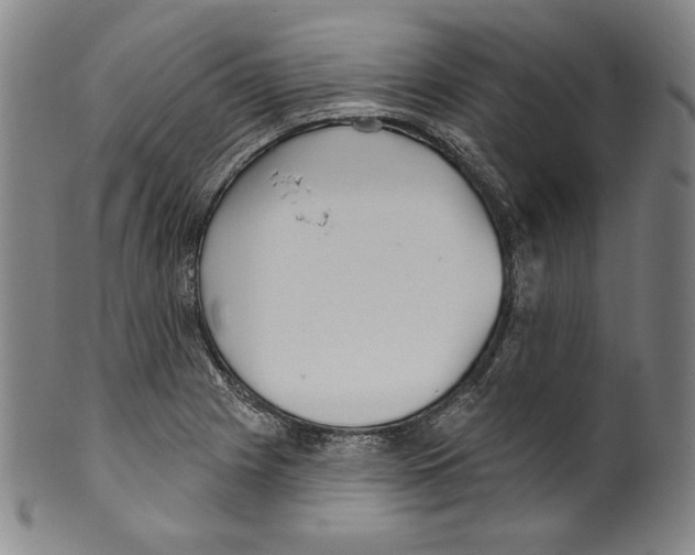 X0000099441225200806061036