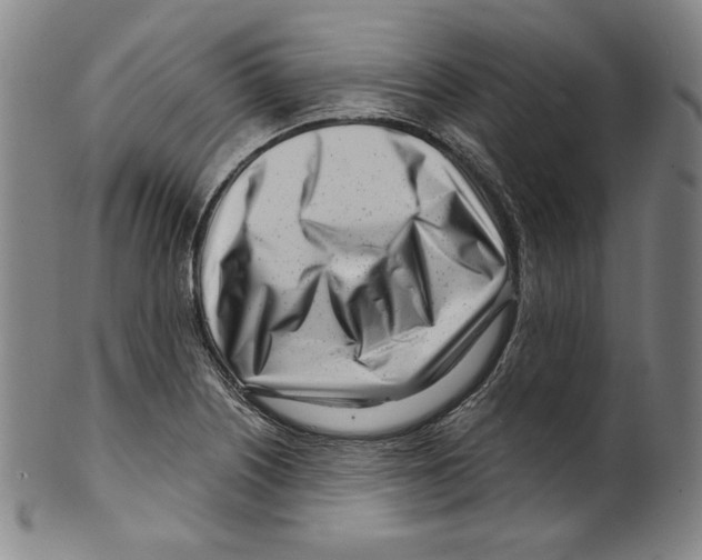 X0000099441226200806061036