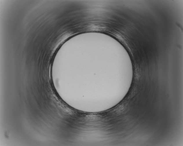 X0000099441227200806061036