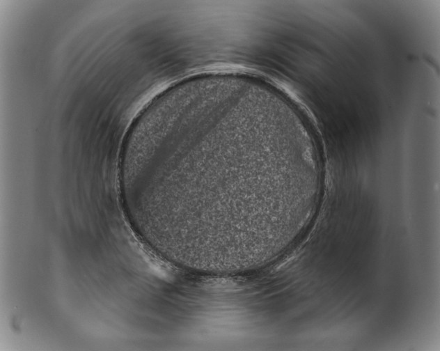 X0000099441229200806061036