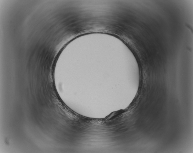 X0000099441230200806061036