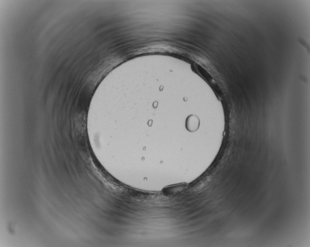 X0000099441233200806061036