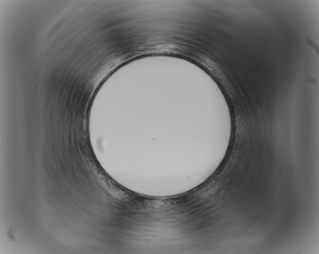 X0000099441234200806061036