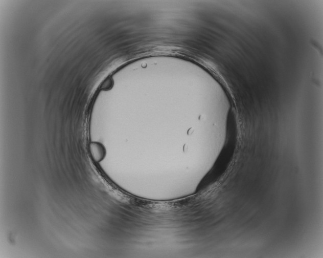 X0000099441235200806061036