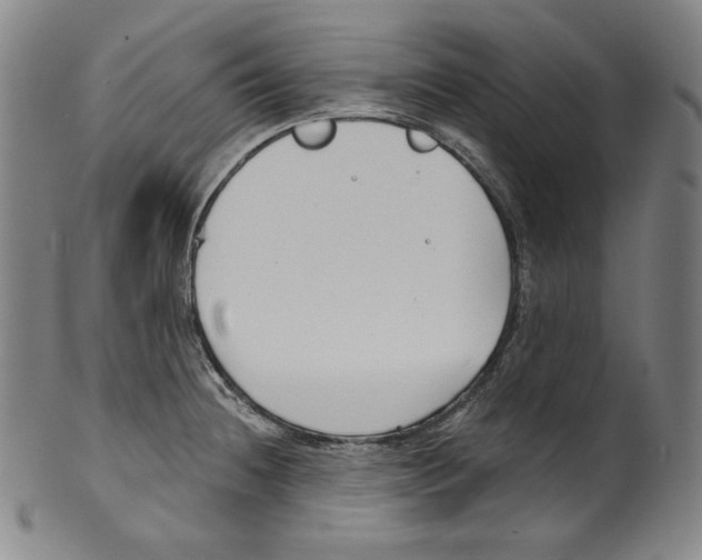 X0000099441236200806061036