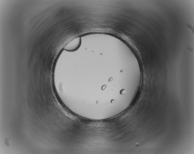 X0000099441237200806061036