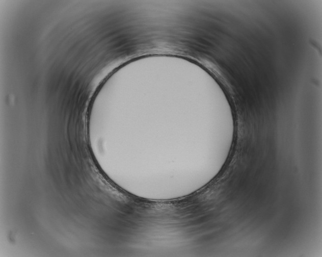 X0000099441238200806061036