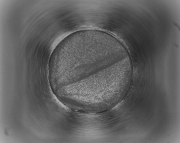 X0000099441239200806061036