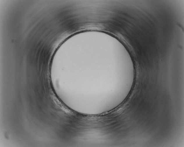 X0000099441240200806061036