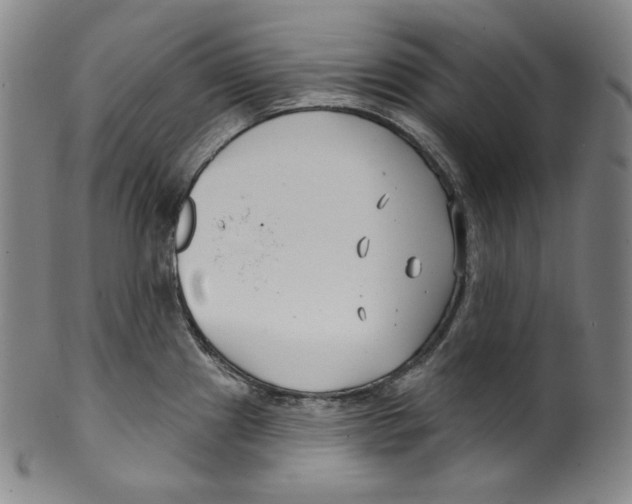 X0000099441241200806061036