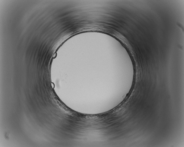 X0000099441242200806061036