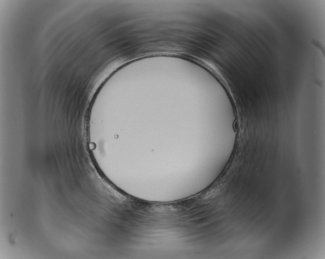 X0000099441243200806061036