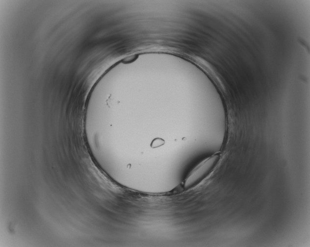 X0000099441244200806061036