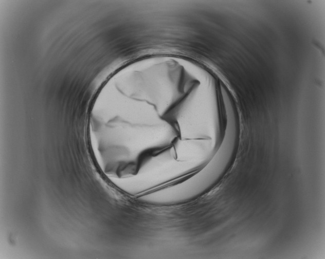 X0000099441245200806061036