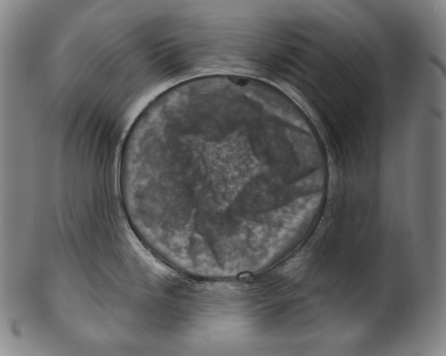 X0000099441246200806061036