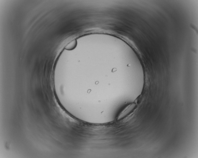 X0000099441247200806061036