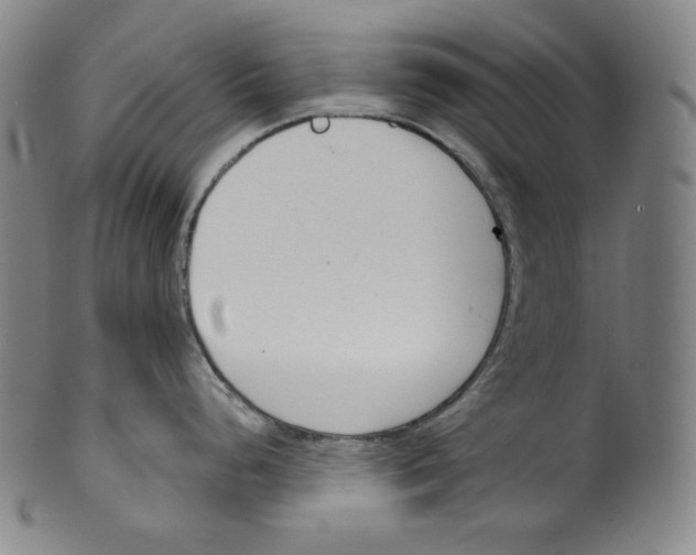 X0000099441248200806061036