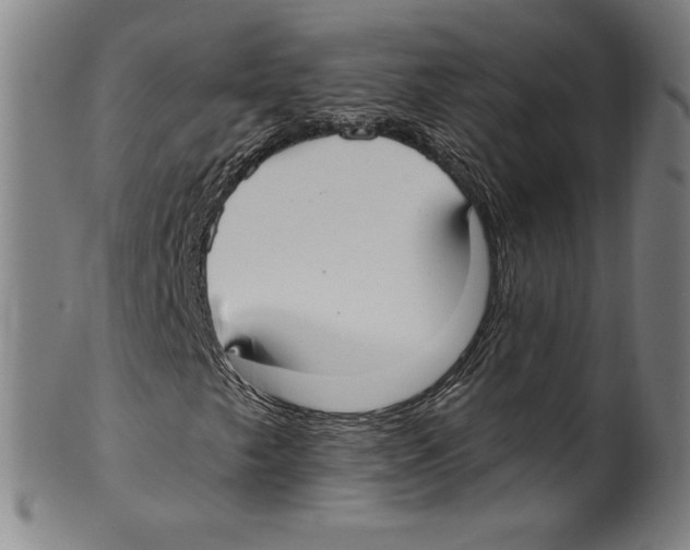 X0000099441249200806061035