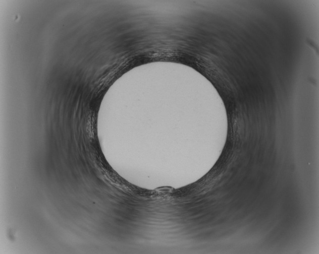 X0000099441250200806061035