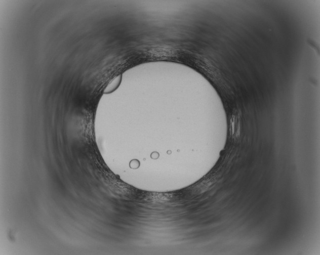 X0000099441251200806061035