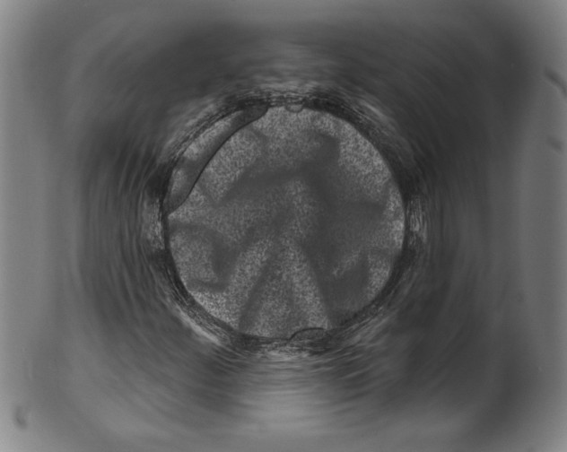 X0000099441252200806061035