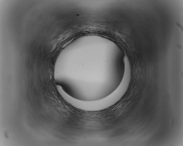 X0000099441253200806061035