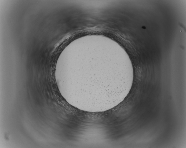 X0000099441254200806061035