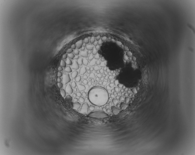 X0000099441255200806061035