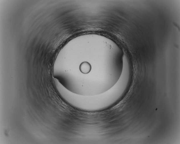 X0000099441257200806061035