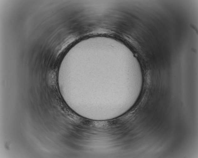 X0000099441258200806061035