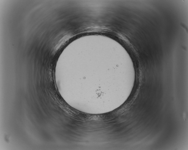 X0000099441259200806061035