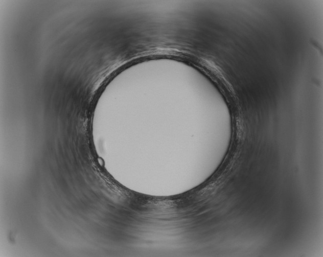 X0000099441260200806061035