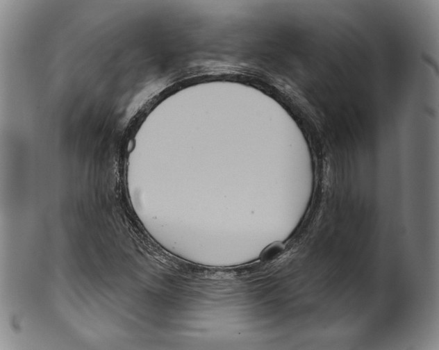 X0000099441261200806061035