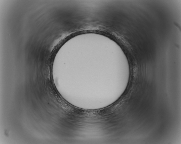 X0000099441262200806061035