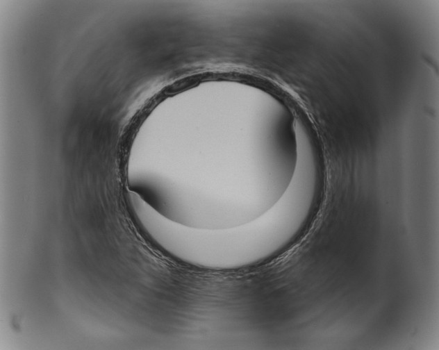 X0000099441263200806061035