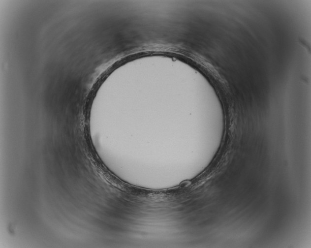 X0000099441264200806061035