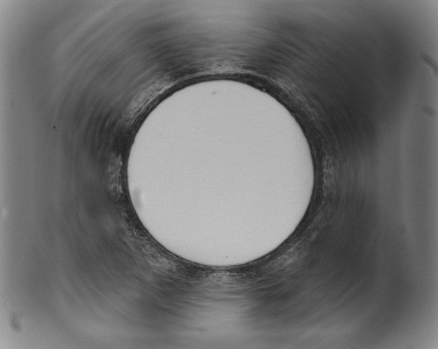 X0000099441265200806061035