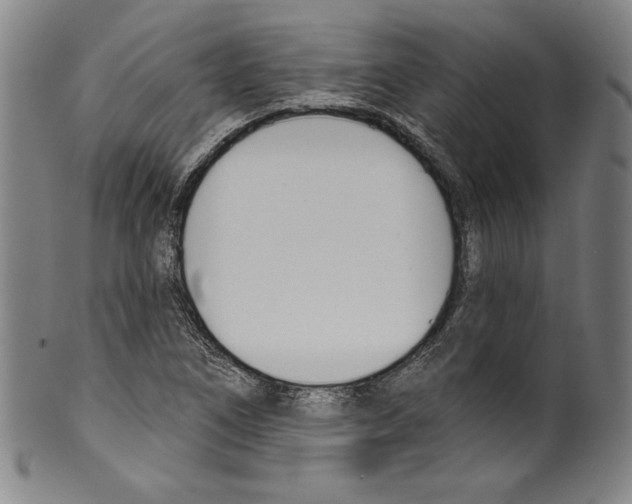 X0000099441266200806061035