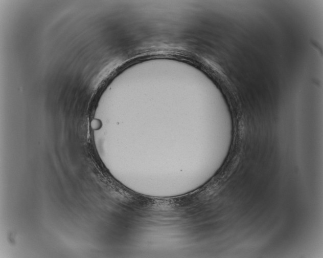 X0000099441267200806061035