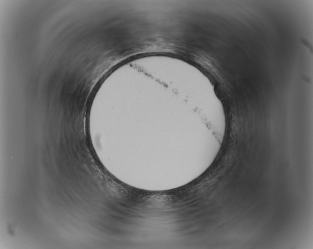 X0000099441268200806061035