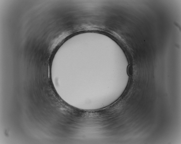 X0000099441269200806061035