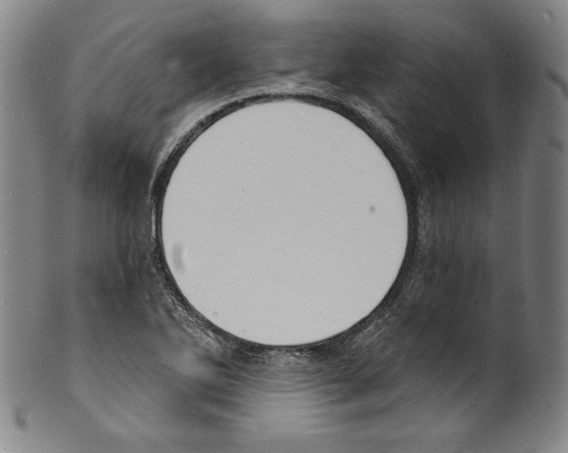 X0000099441270200806061035