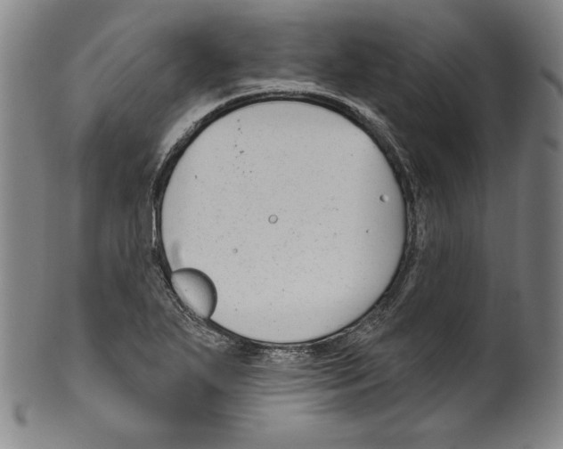 X0000099441271200806061035