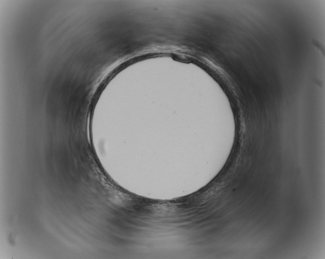 X0000099441272200806061035