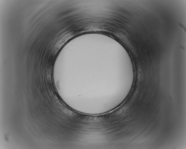 X0000099441273200806061035