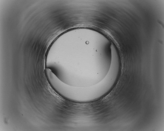 X0000099441276200806061035