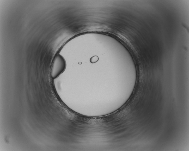 X0000099441277200806061035