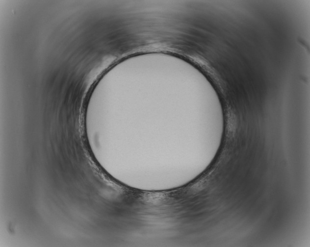 X0000099441278200806061035