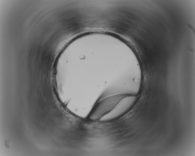 X0000099441279200806061035